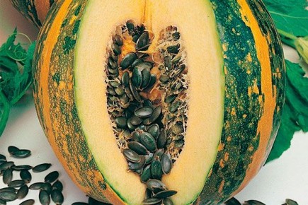 �������� ����������� � �������� ����� ����������