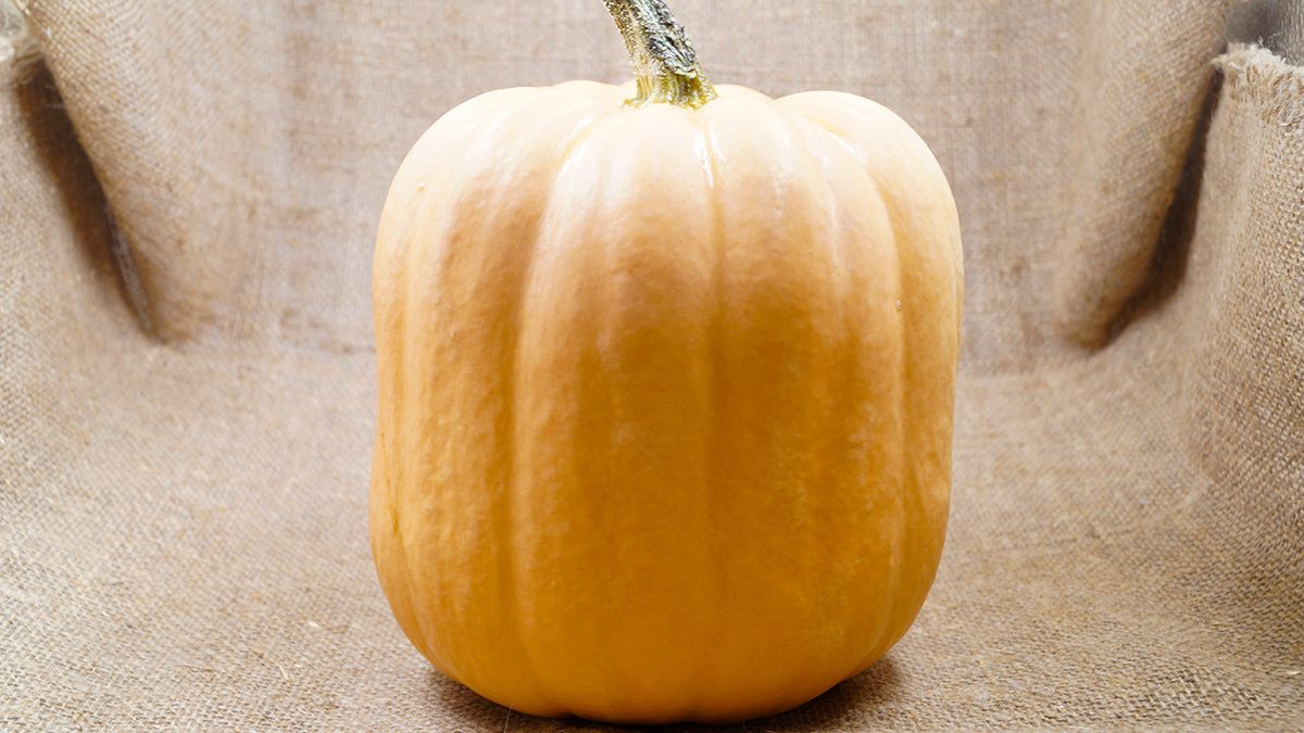 ��������� ���� �� ����� �����: �������, ������� ����� �����������