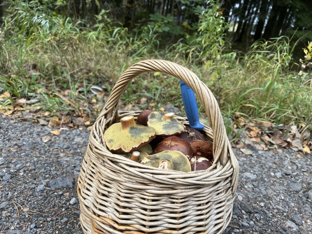 ����������� ���������� ��������� �������� ������: ��� ������� � ����� ����������