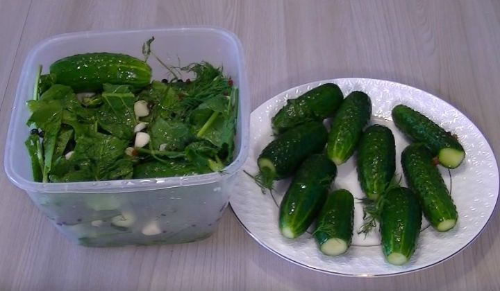 Тайны вечной молодости: привычки, которые продлевают жизнь