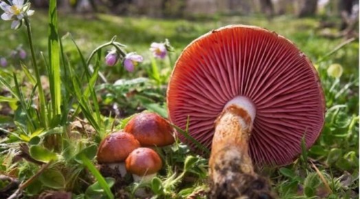 �������� ����� � ������: ��� ����� ����� ���������