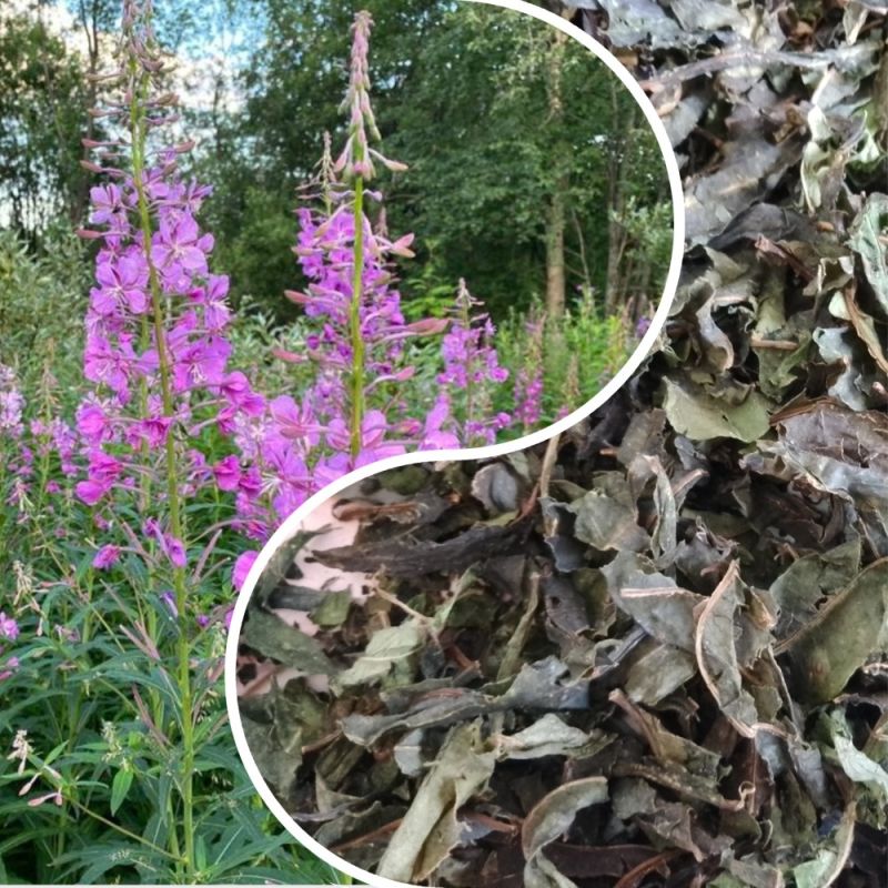 ����-���: ������� ������������� ���������� �������, ������� ������� ��������