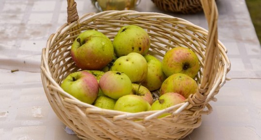 ���������� � ����� �������: ��� ���, ������� � ������ ��������� ������