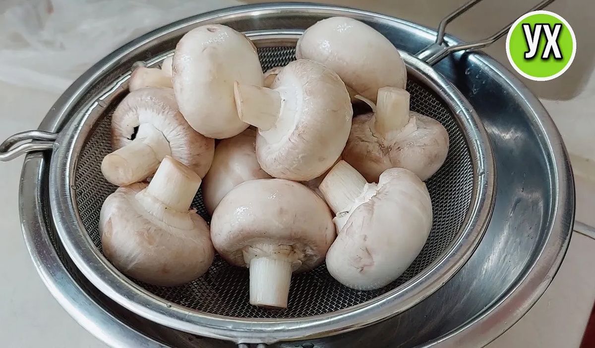 �����: �������� ���������� ������� ��� �������� �����