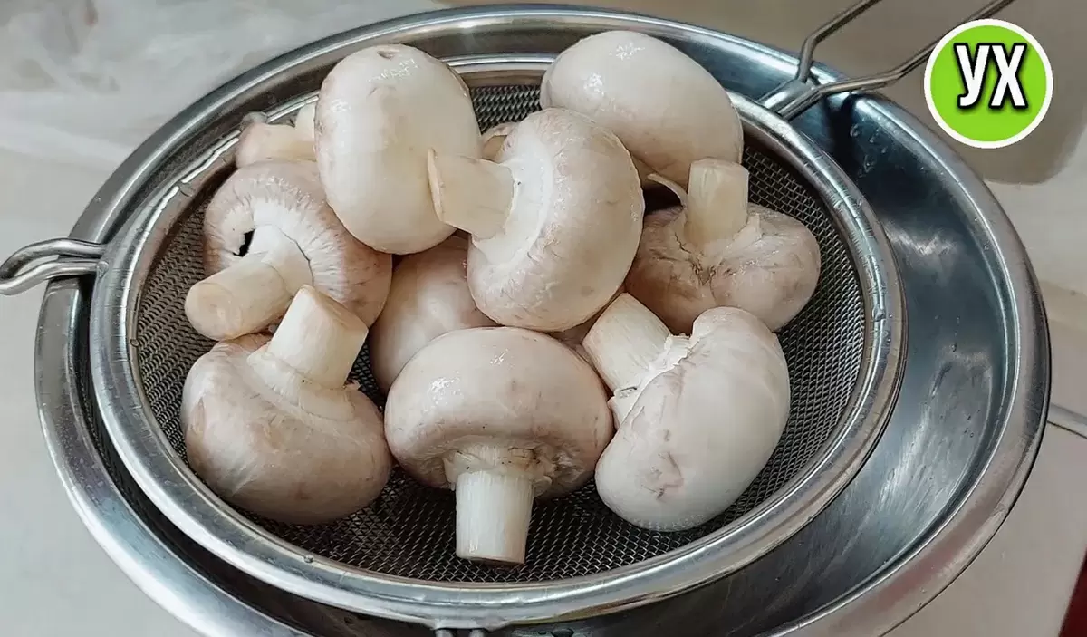 Грибы: сезонные кулинарные шедевры для осеннего стола