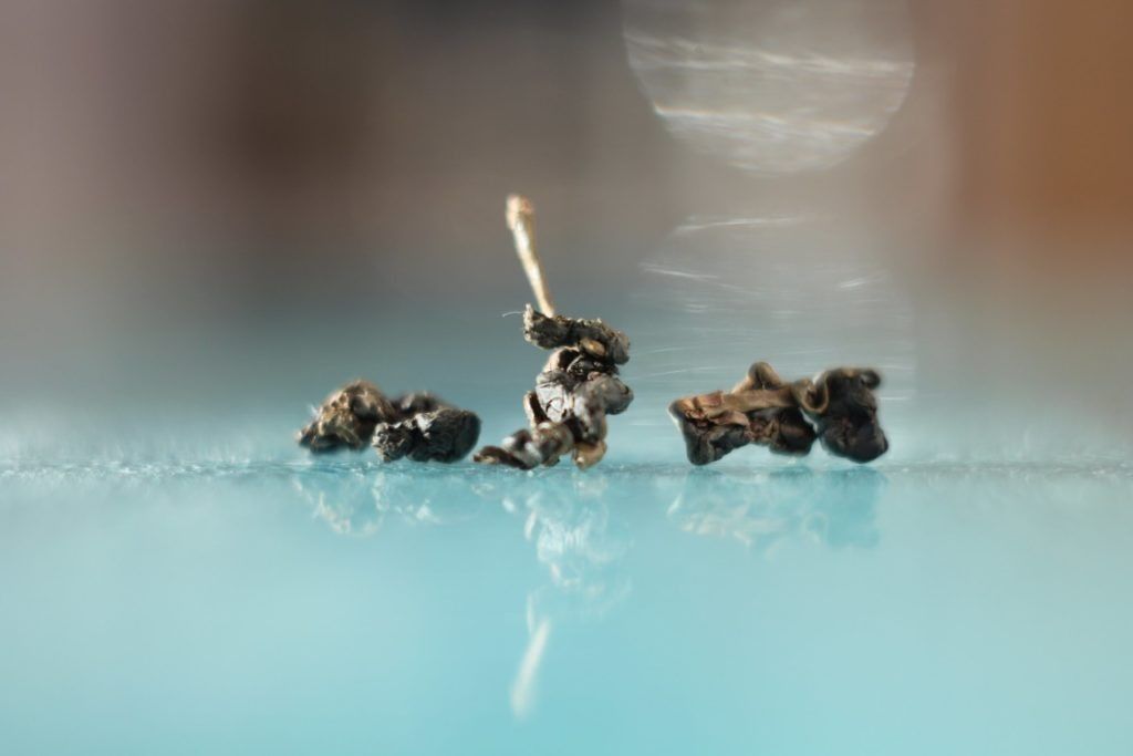 ���������� ������������ ������: ��� ���������� ������� ����������