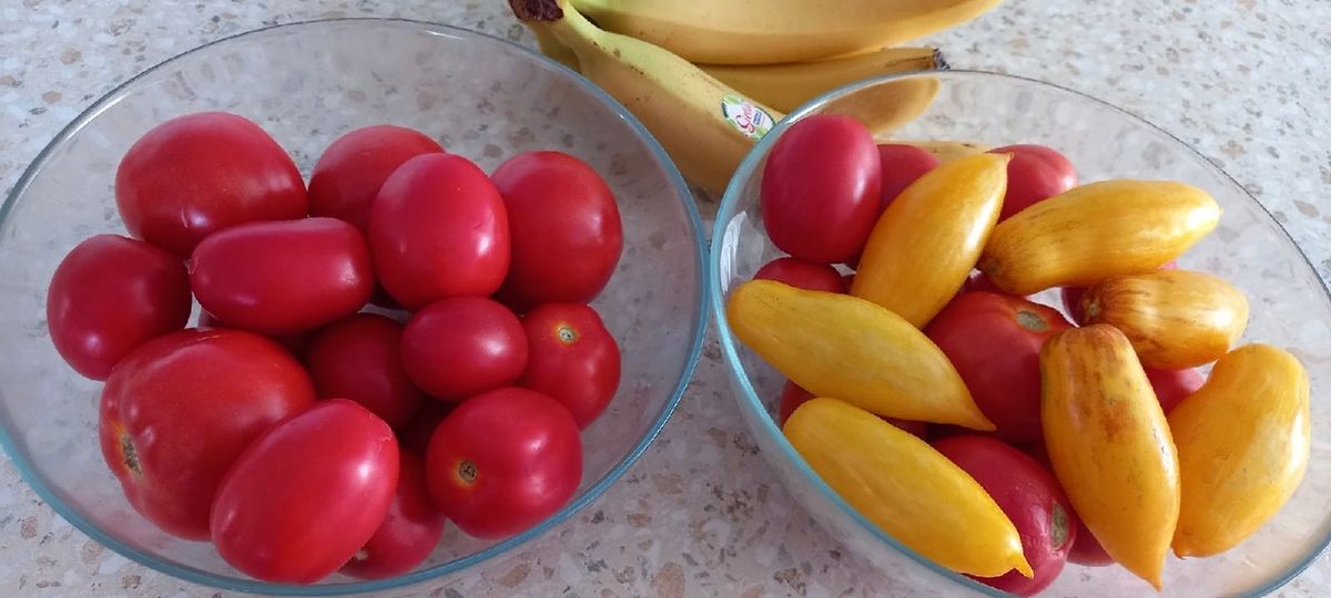 � ������ � �����: ��� ������ ������ ���������� ���������