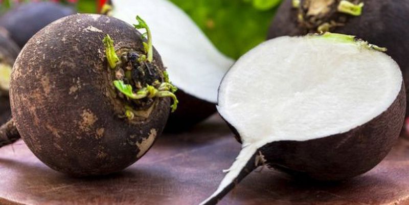 ������� ������ ������ � ���������� � �����: ������������ ����� ��� ��������