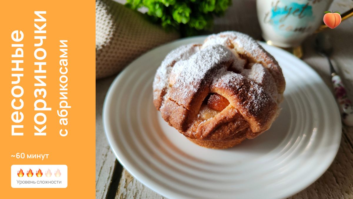 ������ ������������: ��������� ������ �������� ���������� � ����������