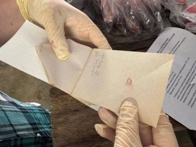 ����������� ������������ �������� ��������� ������������ ��������� � �������