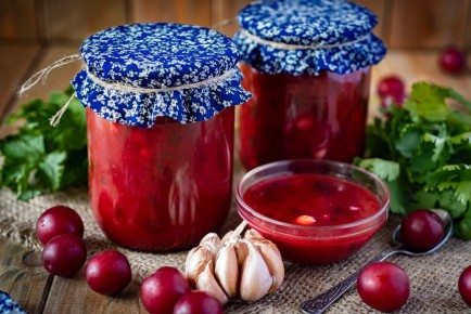 Опустите все в Ткемали: 6 уникальных рецептов соуса на зиму