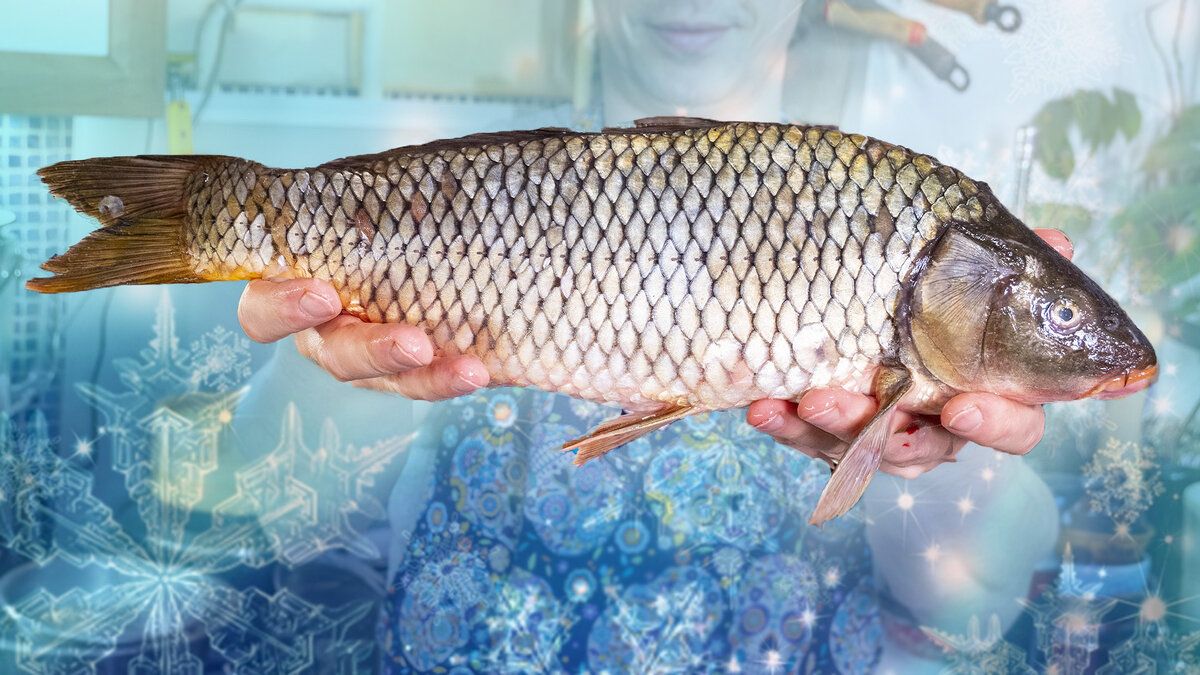 ����� �� ����: ��������� ����� ��� ����������� �����