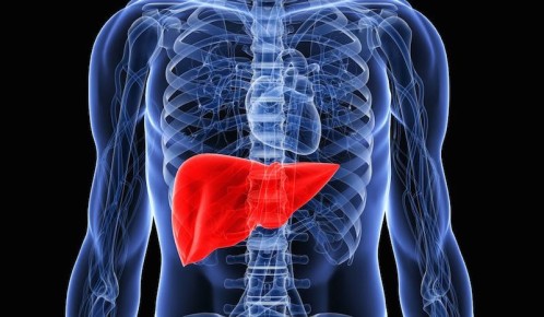 ��� 7 ������� ��������� ����� ������ ���� ������