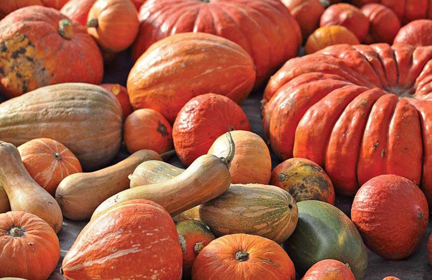 �����: ��������� ������� ��� ������ �����