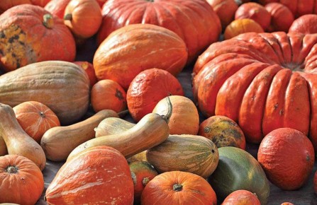 �����: ��������� ������� ��� ������ �����