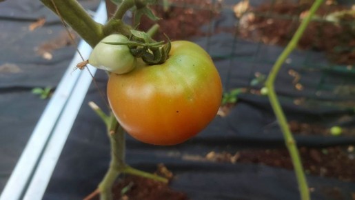 ��� ������ � ������ ������� ���������� �������� � ��������� ������� � ������� �����