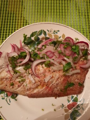 ��� ����������� ����� ����� �� ��������: ������ ������ �� ������ ����