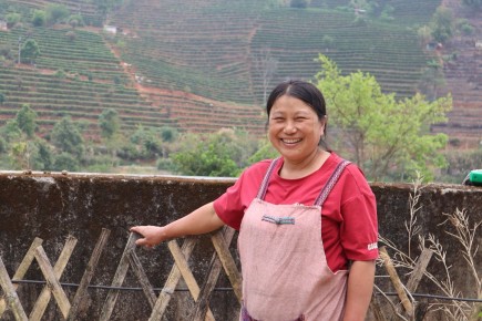 ������������ �� �����: ���, ���� � ������� �������������