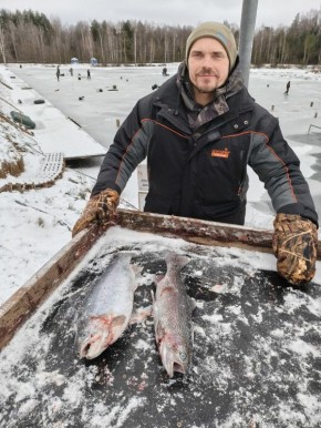 ������� �������: ������� �� ���� ������