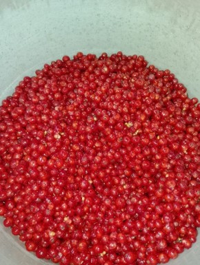 ���� �� ������� ���������: ��� �� ����� � ���������� �������