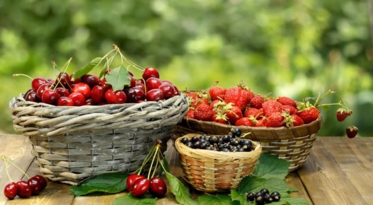 ������� ����������� �������� ����: ��� ��������� �������� �������� � �������