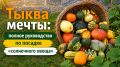 Тыква мечты: секреты успешного выращивания