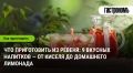 Освежающие напитки из ревеня: идеи для любого сезона
