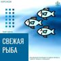 Свежевыловленная рыба: отличная возможность для гурманов